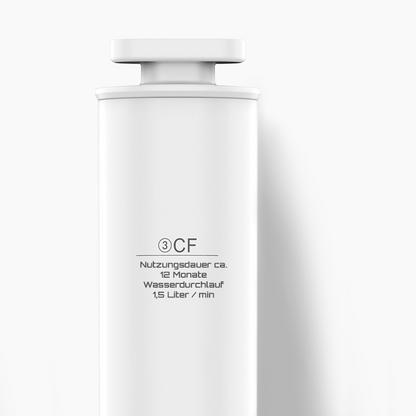 Spar-Pack Ersatzfilter (12 Monate) PAC + CF für CLEANON PLUS W25