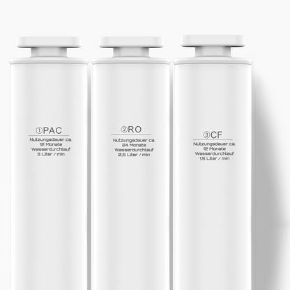 Spar-Pack Ersatzfilter (12 Monate) PAC + CF für CLEANON PLUS W25